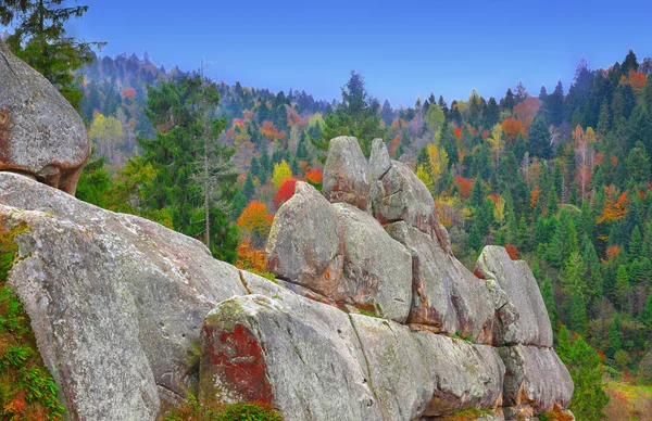 Autumn forest in the mountains — Stock Photo, Image