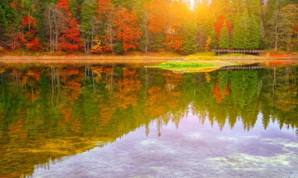 Lago pitoresco na floresta de outono — Fotografia de Stock