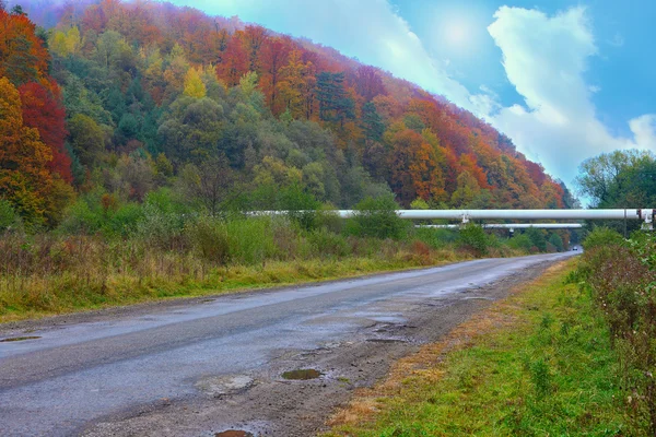 Vorortstraße und Pipeline im Herbstwald — Stockfoto