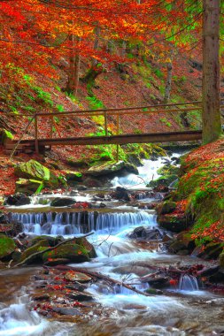 sonbaharda bir kayalık dağ nehir Rapids