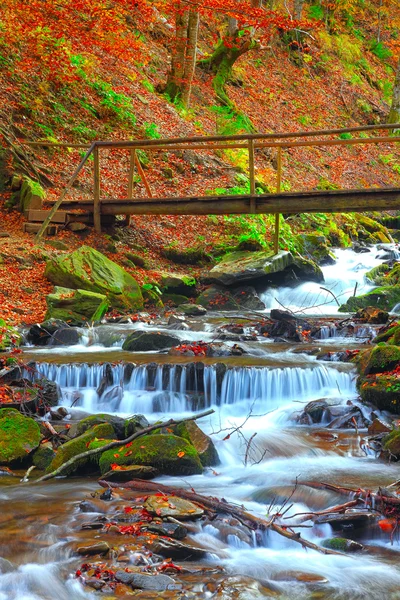 Rio rápido da montanha no outono — Fotografia de Stock