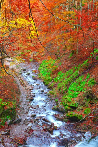 Rapid mountain river in autumn — Stock Photo, Image
