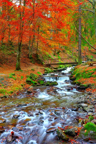 Rapid mountain river in autumn — Stock Photo, Image