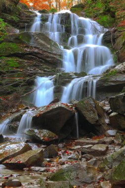 Sonbahar ormanında şelale