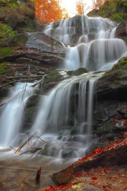 Sonbahar ormanında şelale
