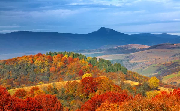 秋の森と山々 を背景 — ストック写真