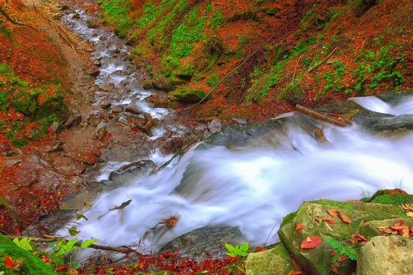 Szybkiego górskiej rzece jesienią — Zdjęcie stockowe