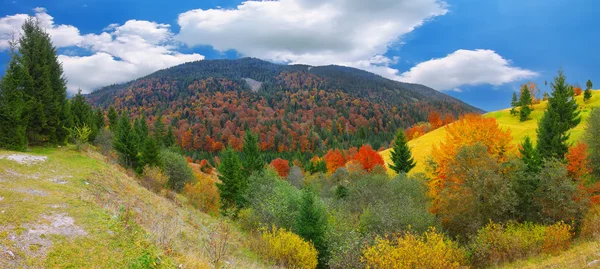 Brillante y soleado otoño en las montañas — Foto de Stock