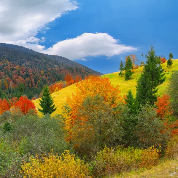 Brillante y soleado otoño en las montañas — Foto de Stock