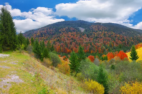 Brillante y soleado otoño en las montañas — Foto de Stock