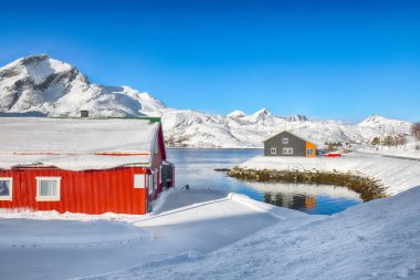 Sundstraumen Boğazı kıyısında geleneksel Norveç kırmızı ahşap evleri olan inanılmaz bir manzara. Konum: Flakstadoya Adası, Lofoten; Norveç, Avrupa