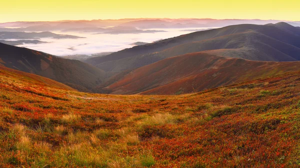 Prachtige zonsopgang op de bergwegen — Stockfoto