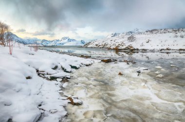 Torsfjorden fiyordunun sabah manzarası. Arka planda çatlak buz ve karlı dağ zirveleri var. Konum: Ramberg, Flakstadoya Adası, Lofoten; Norveç, Avrupa