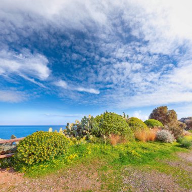 Doğa koruma alanındaki Milazzo Burnu 'nun olağanüstü bahar manzarası. Konum: Milazzo Burnu, Tyrhenian Denizi, Sicilya Adası, İtalya, Avrupa