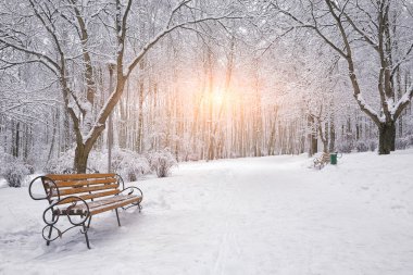 Karla kaplı ağaçlar ve şehir Park banklar