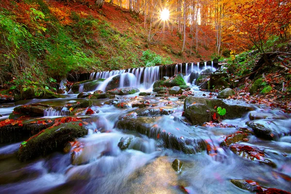 Beautiful waterfall in forest at sunset — Stock Photo, Image