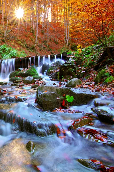 Beautiful waterfall in forest at sunset — Stock Photo, Image
