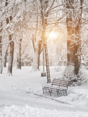 karla kaplı ağaçlar Şehir Parkı