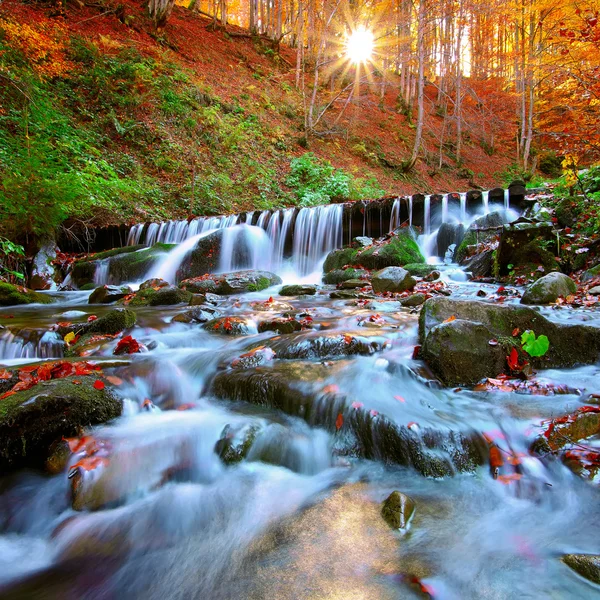 Bella cascata nella foresta al tramonto — Foto Stock