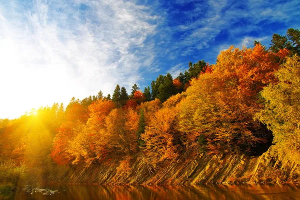 Jesień las nad rzeką na zachodzie słońca — Zdjęcie stockowe