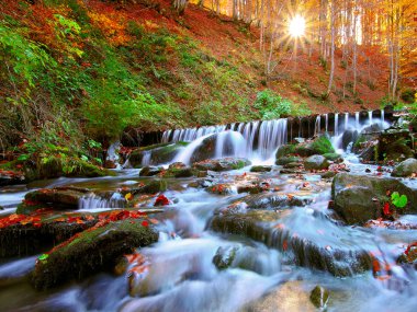 Gün batımında ormandaki güzel şelale
