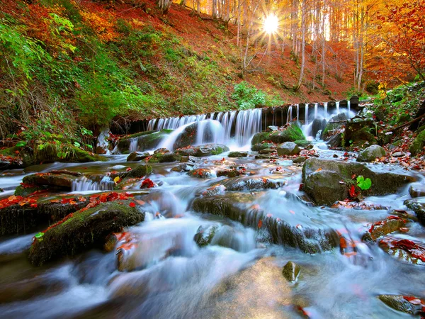 Beautiful waterfall in forest at sunset — Stock Photo, Image