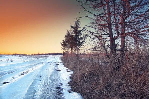 Traços das rodas do carro em uma estrada nevada ao pôr do sol — Fotografia de Stock