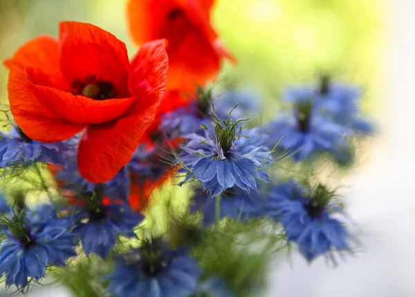 Bouquet coquelicot et le bleuet — Photo #21173927