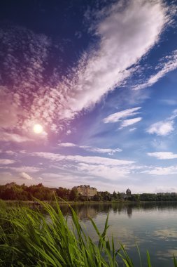 Yaz parkında manzara gölü