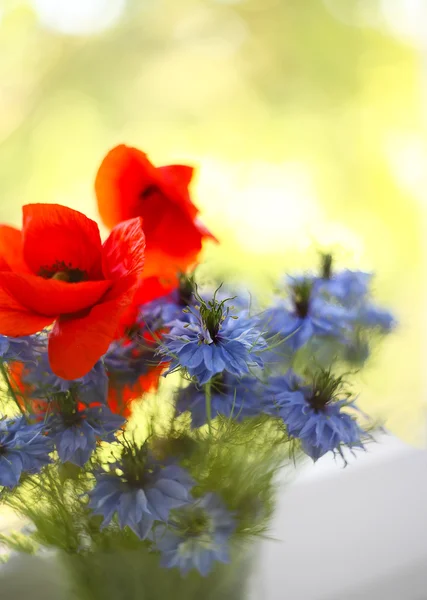 Fiordaliso e papavero nel bouquet — Foto Stock