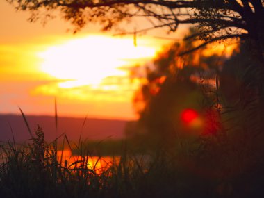 gün batımı arka plan bulanıklık