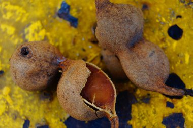 Kuru gıda imajı, Hindistan