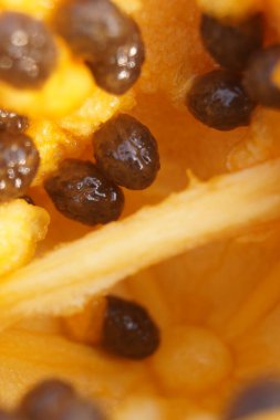 meyve makro fotoğraf, Sarı Meyve . 