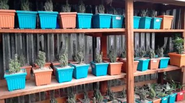 Bahçeden rahatlama şarjörü. Yoga, meditasyon, arka plan, giriş, canlı duvar kağıdı vs. için doğa sahnesi