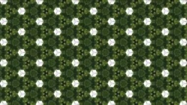 Motion graphic intro clip for grand opening ceremony. Program starting video. Opening announcement. Festival event advertising. New logo reveal. Motion graphic footage concept