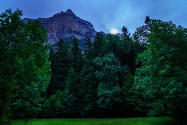 Dağlı, güneşli ya da aylı, yeşil çimen ağaçlı karanlık bir manzara. Ordesa Pireneleri