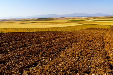 Tohumsuz topraklar, arka planda dağlar ve mavi gökyüzü olan kırsal topraklar.