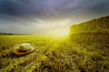 Straw bale and hat in the field after harvest with yellow tones clipart