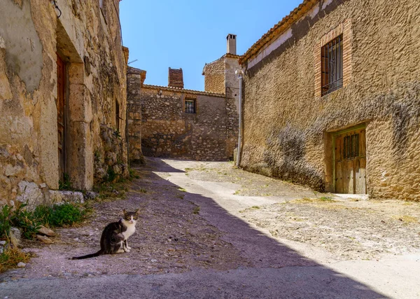 Spanya Nın Eski Taş Kasabasının Sokaklarında Başıboş Bir Kedi — Stok fotoğraf