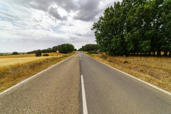 Asphalt Country Road Perspective Horizon Trees Clouds Sky — Stock Photo, Image