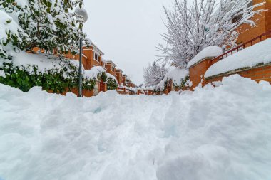 Filomena 'daki kar fırtınası nedeniyle Madrid' de karlı bir manzara. Park, sokaklar, ağaçlar karla kaplı. Spai.