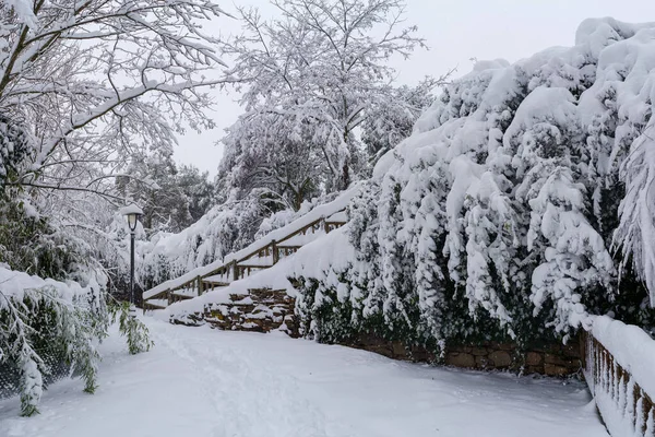 Snowscape Parku Madridu Kvůli Sněhové Bouři Filomena Spai — Stock fotografie