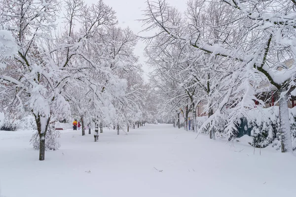 雪景在马德里的一个公园由于暴风雪菲洛米娜 Spai — 图库照片
