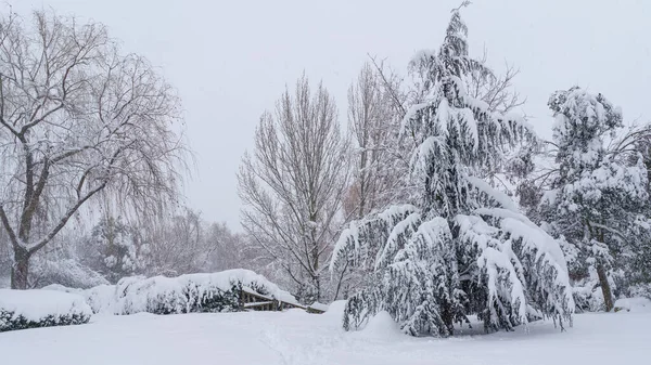 Filomena 'daki kar fırtınası nedeniyle Madrid' de bir parkta kar manzarası. Spai.