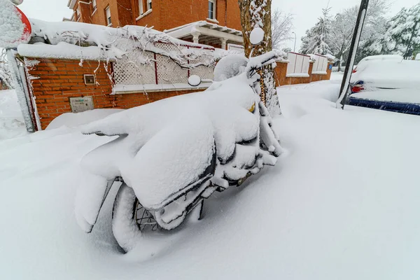 马德里的雪景是由雪暴菲洛米娜造成的 被雪覆盖的树木 Spai — 图库照片