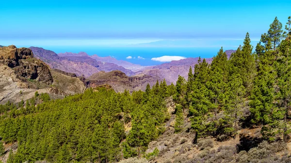 Paesaggio Montano Gran Canaria Paesaggio Desertico Valli Montagne Che Finisce — Foto Stock