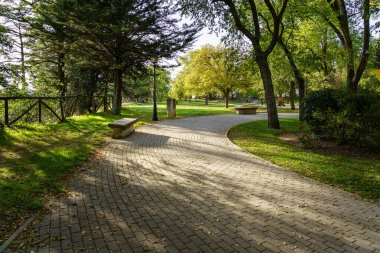 Yeşil park, güneş ışığı ve kaldırımlı yol üzerine oturulacak bank..