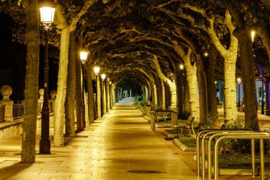Ağaçların dalların arasından tünel kazdığı halka açık bir parkta yürüme yolunu aydınlattı. Burgos