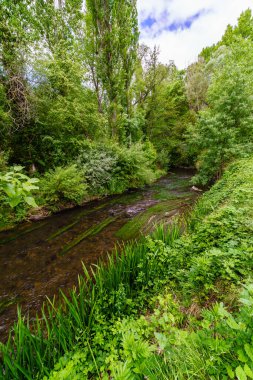 Bereketli yeşil bitki örtüsü, uzun ağaçlar ve bulutlu mavi gökyüzü arasında küçük bir dere. Rio Duraton, Segovia. İspanya.