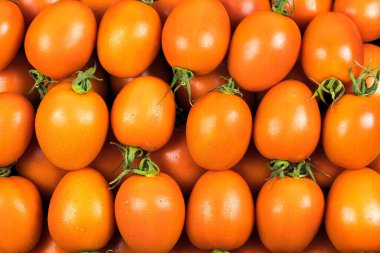 Armut çeşitliliğindeki birçok yeşil domatesin üst görüntüsü, kırmızı renk, su damlaları ve stüdyo ışıkları. Süpermarket,